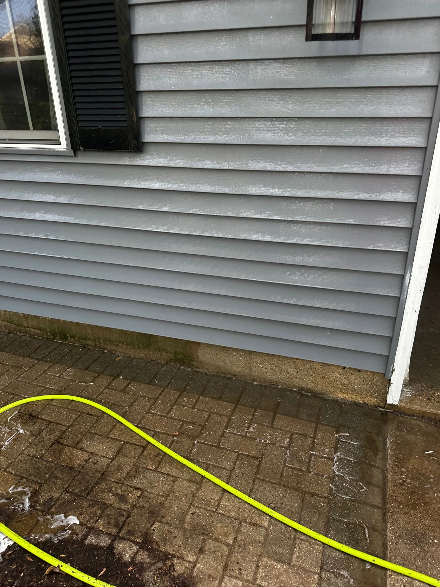 Green Algae on Concrete: DIY vs Pro Removal | Total Wash Co