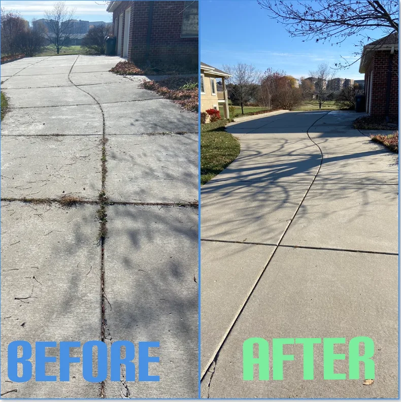 Full driveway before and after professional algae removal by The Total Wash Co in Madison