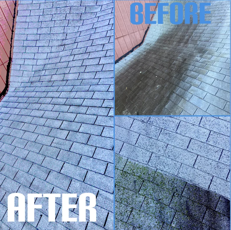 Black algae streaks on asphalt shingle roof Sun Prairie WI home before soft wash cleaning