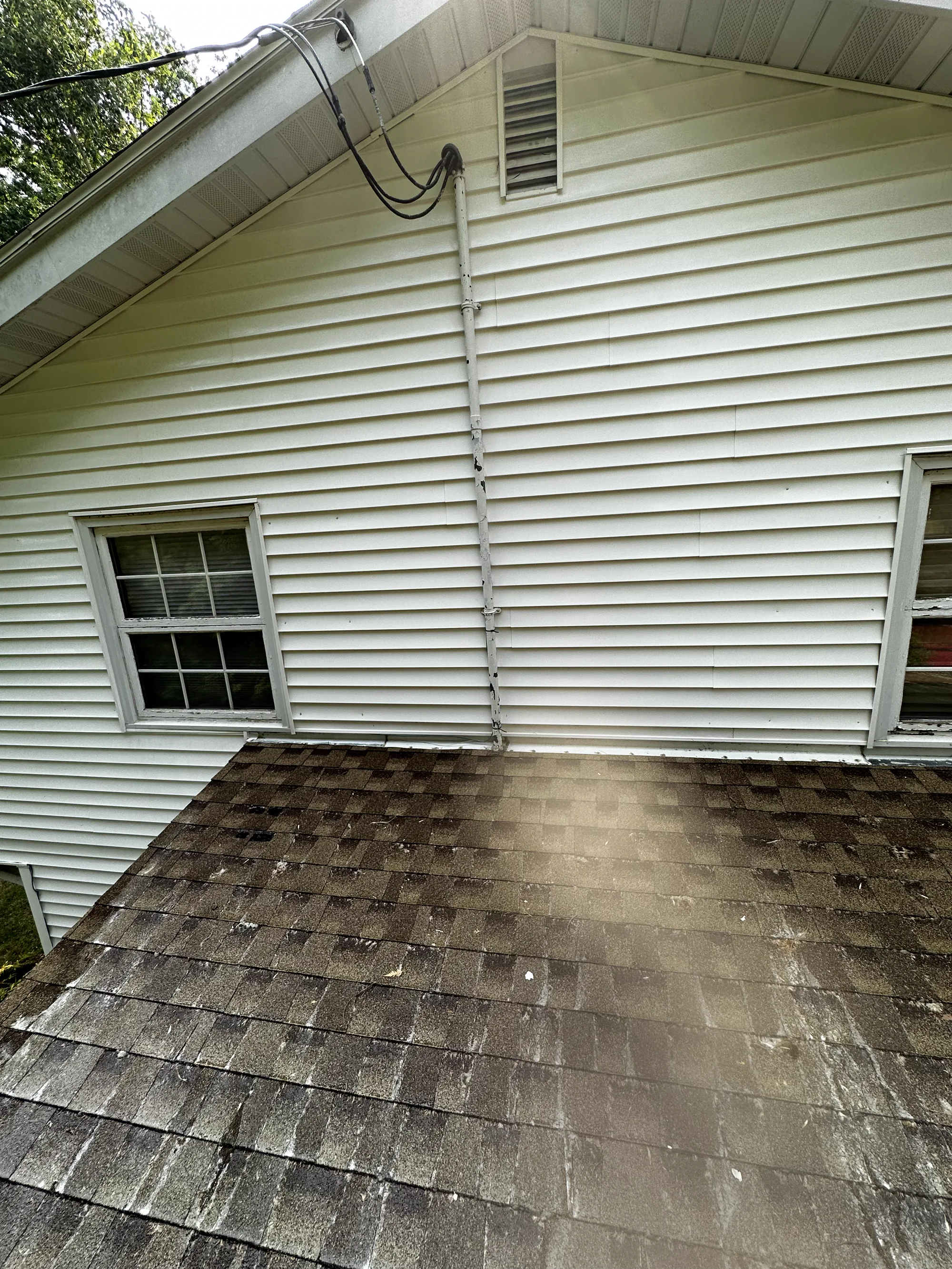 Moss growth on north-facing asphalt roof in Sun Prairie Wisconsin before professional cleaning