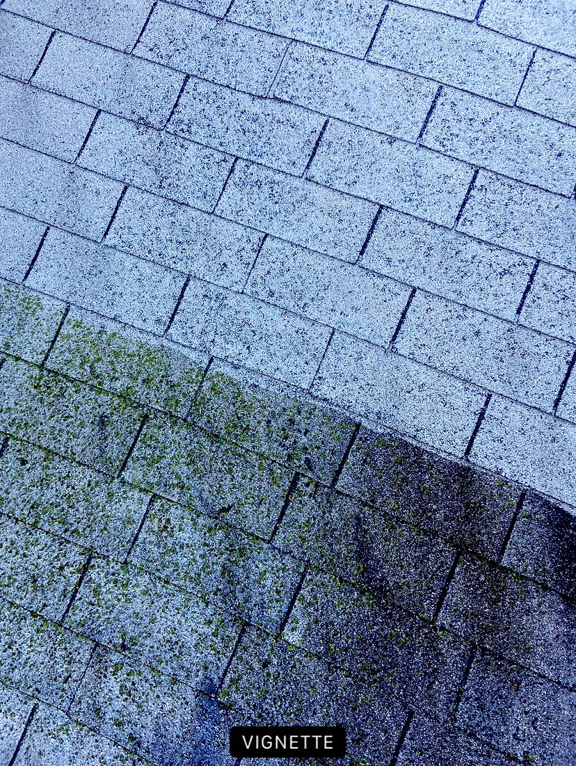 Before and after roof cleaning Sun Prairie Wisconsin asphalt shingles algae removal